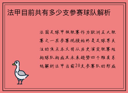 法甲目前共有多少支参赛球队解析